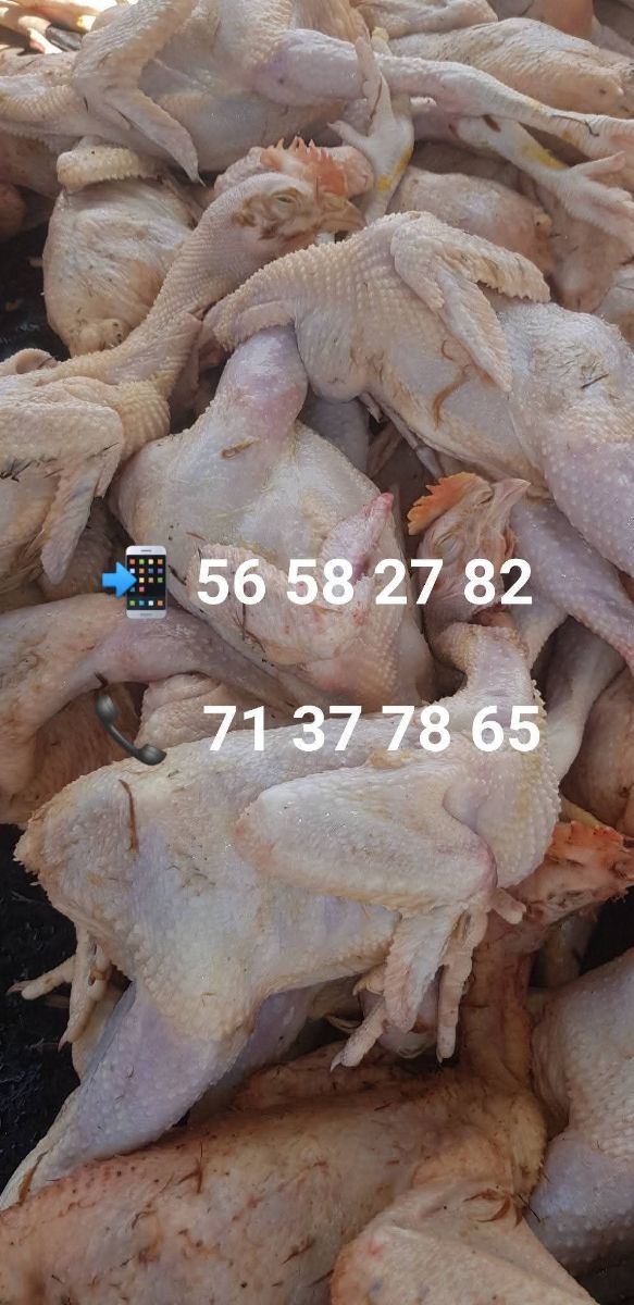 Poulets frais, prêts à être cuisinés - photo 2