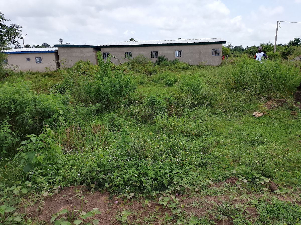 Vente flash de terrain - photo 2