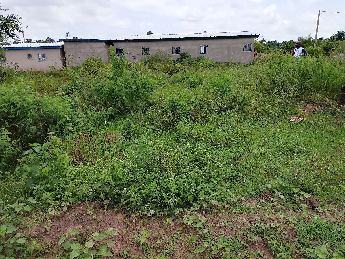 Vente flash de terrain - photo 3