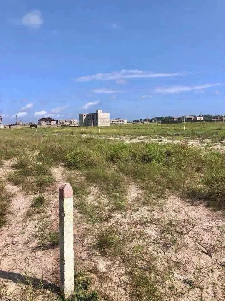 3 lots collés de 500 m2 en vente avec ACD - photo 2
