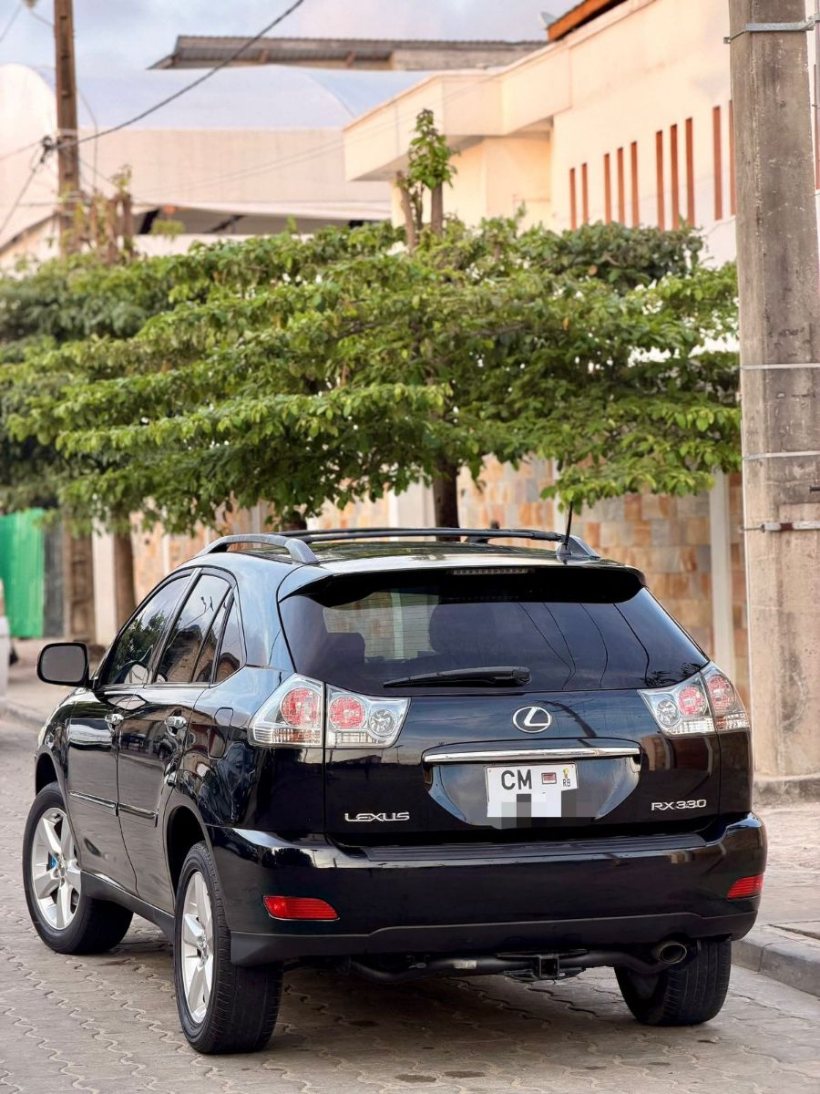 LEXUS RX 330 2005 6 - photo 2
