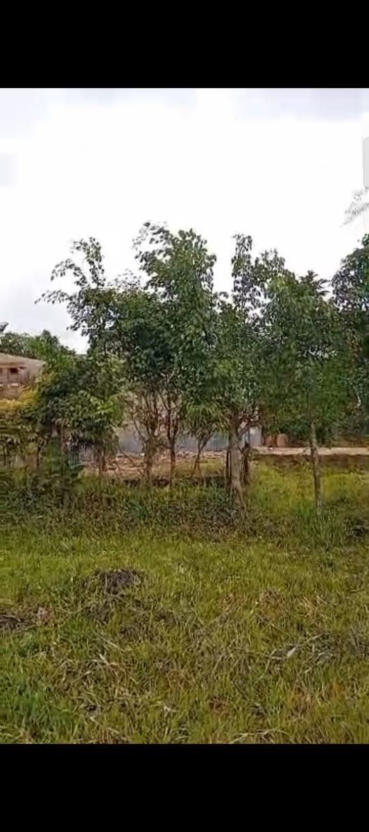 Vente de terrain 398m2 - photo 2