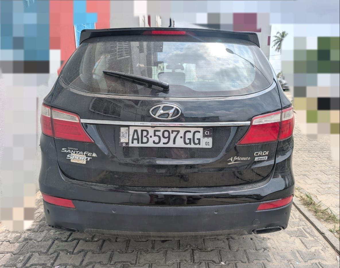 HYUNDAI SANTAFE GRAND 7 PLACES - photo 3