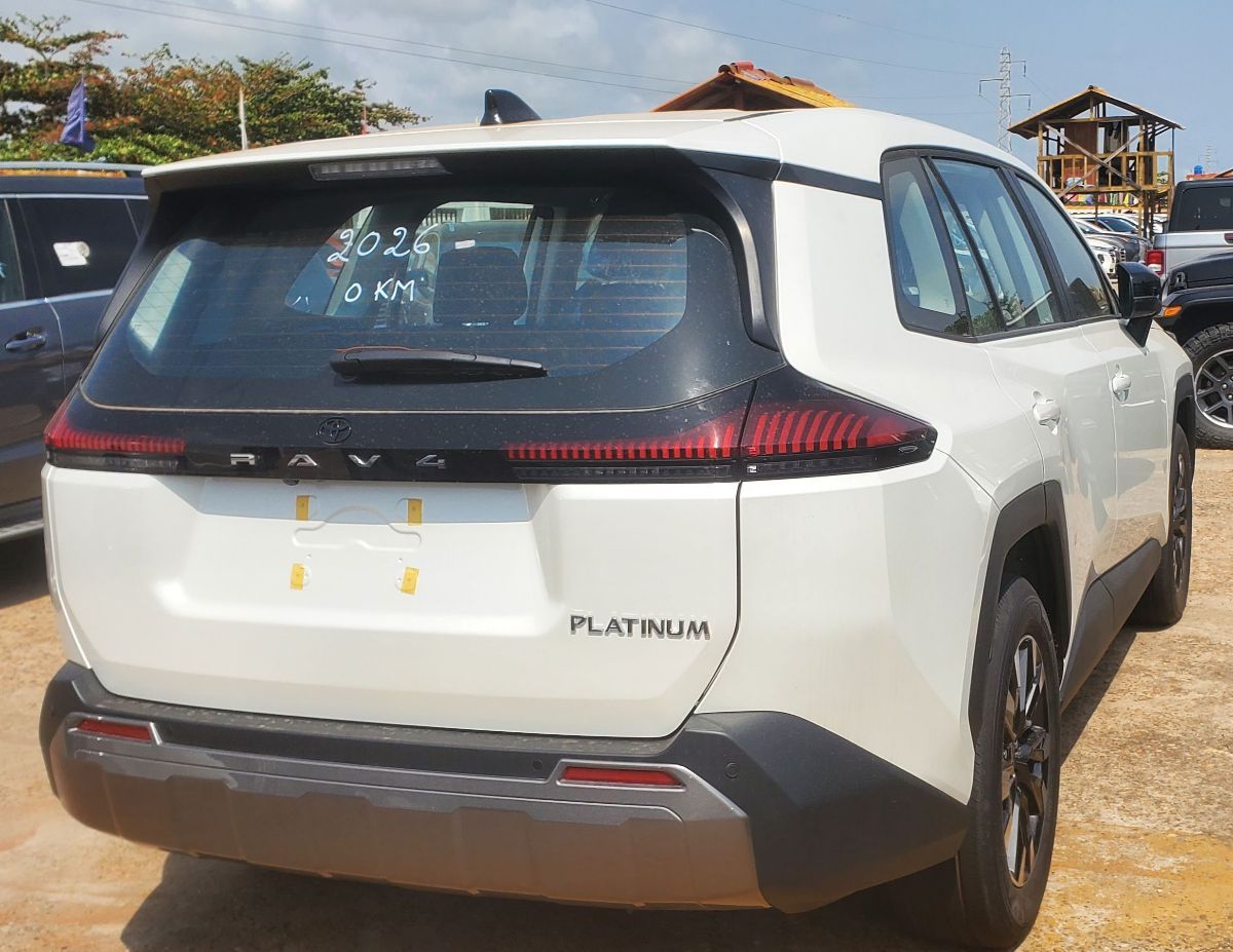 TOYOTA RAV4 PLATINIUM - photo 2