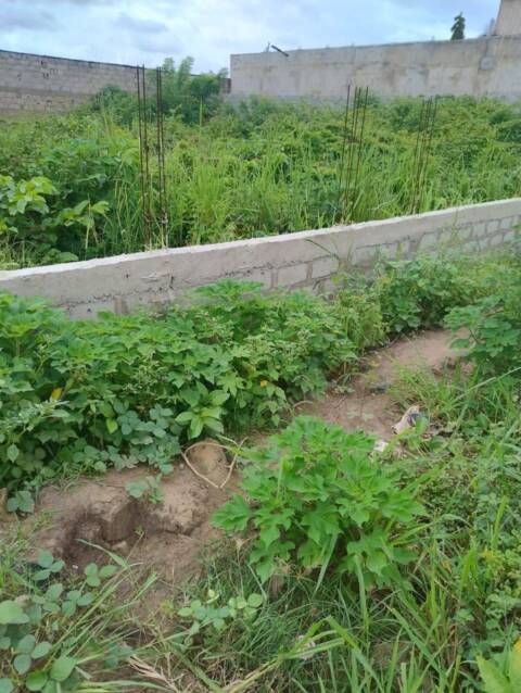 TERRAIN A VENDRE : Prix : 9 millions