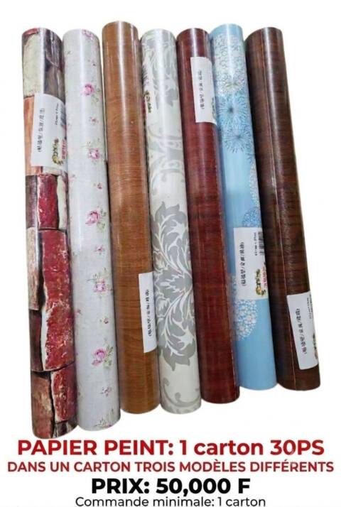 Papier peint importé avec meubles prestige