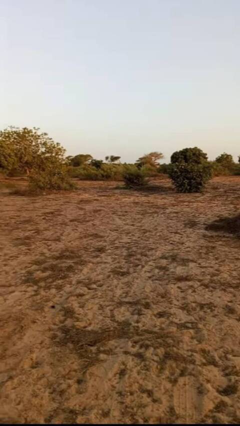 Terres Agricoles à louer