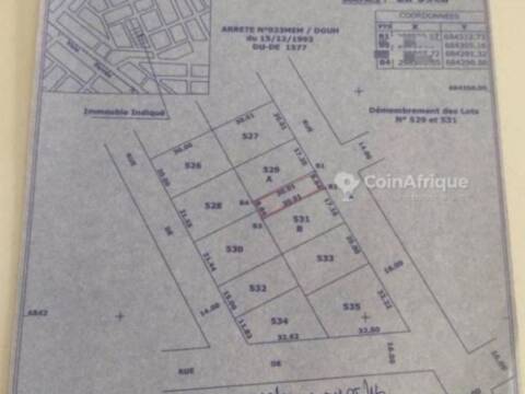 Terrain 1/2 lot