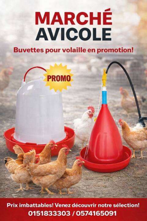 Abreuvoir automatique jumbo