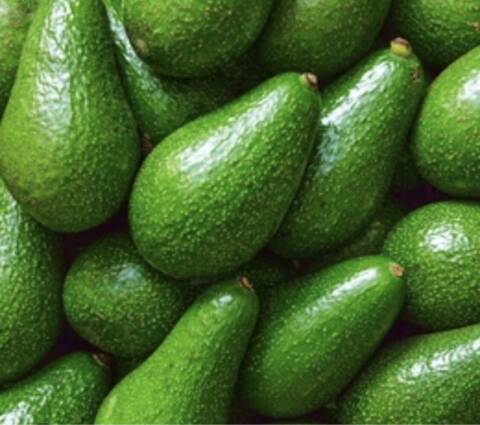 ETS PÉPINIÈRES AGRO