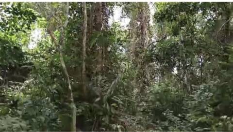 7 hectares de parcelle à Donkoi en Vente