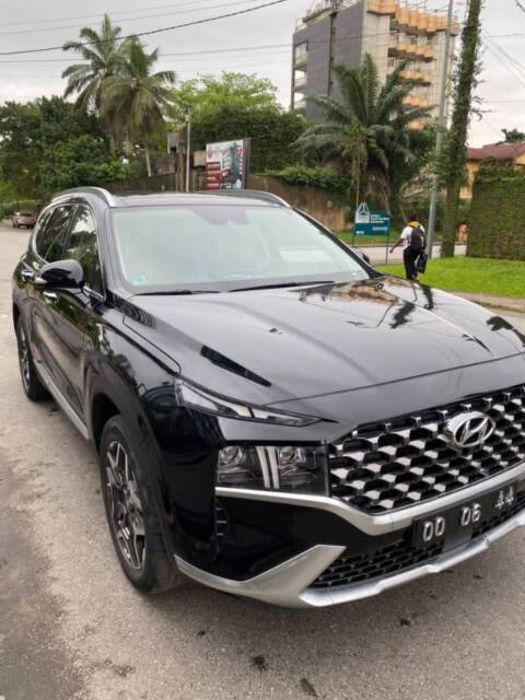 Hyundai Santa fe année 2022