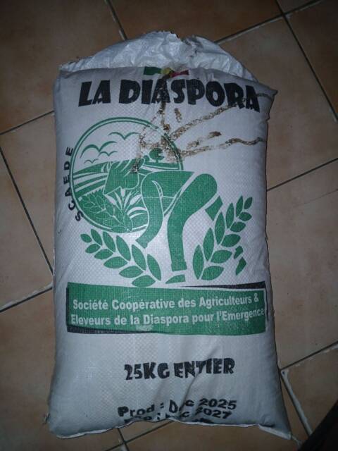 🌾 RIZ MBAYE DU WALO — 25 KG