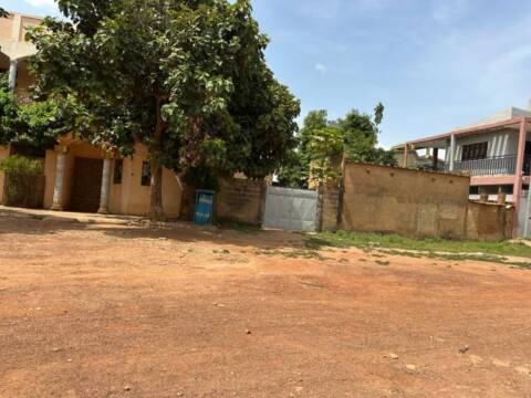 Parcelle avec 2 maisons en vente à balkuy