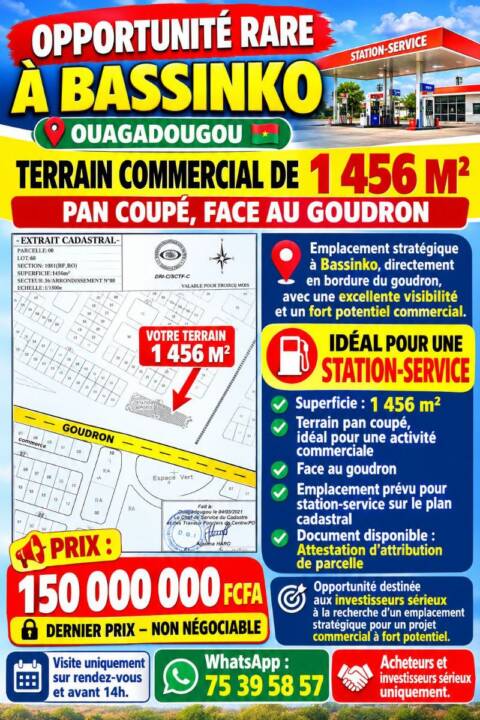 Terrain à vendre Zone commerciale à basinko