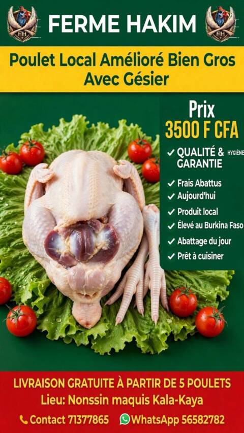 Poulets frais, prêts à être cuisinés