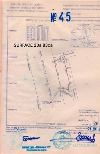 4 lots ou 2 lots à Adeticopé au bord goudron